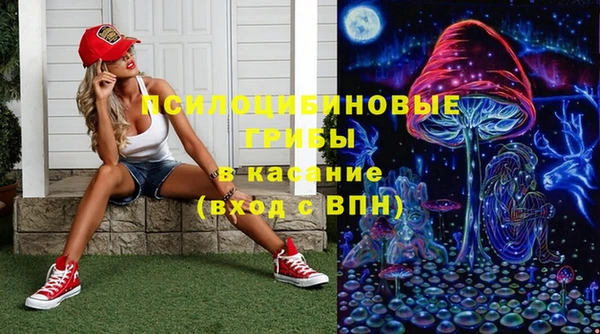дмт Рославль